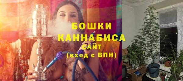 бошки Арсеньев