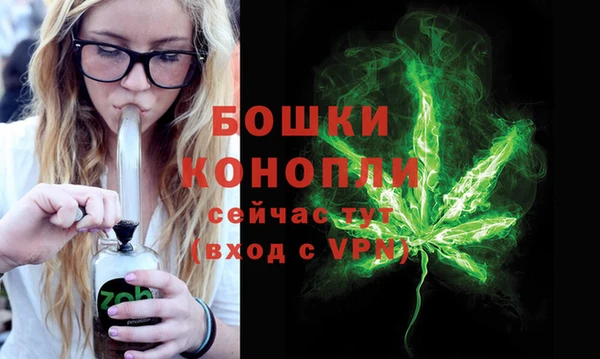 бошки Арсеньев